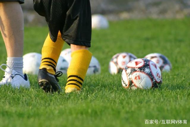 乐虎国际(lehu)中国官方网站 - LEwin SPORTSAPP展示图